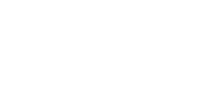 whitecloud internships logo