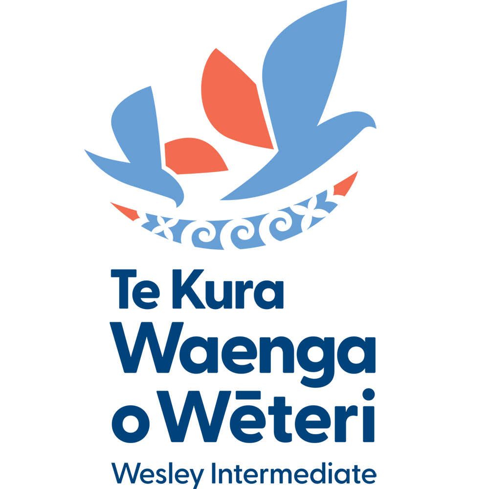 WhiteCloud Internship Host Wesley Intermediate School